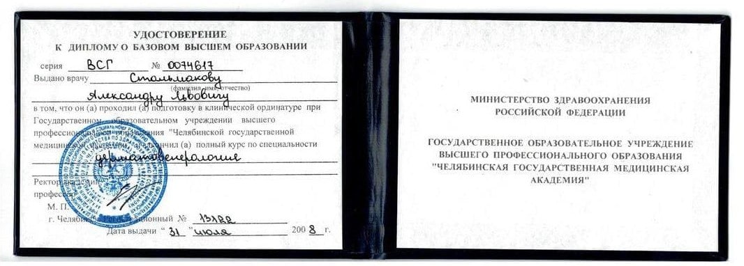 Стальмаков Александр Львович документ об обучении