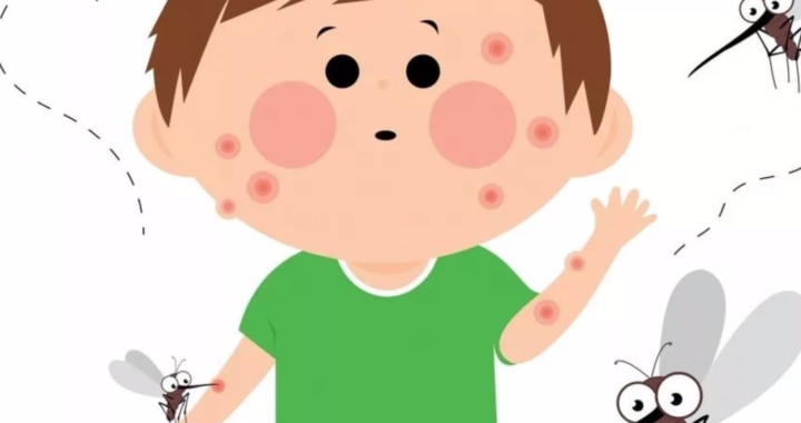 Аллергия на насекомых
